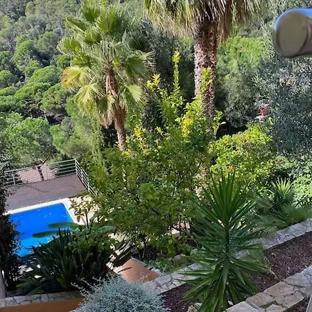 The 3 Singing Palms Βίλα